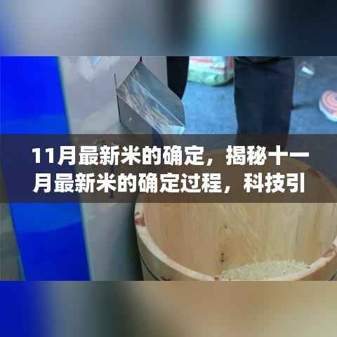 揭秘十一月最新米确定过程,科技引领稻米品质革新篇章