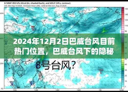 巴威台风下的隐秘小巷，味蕾与探索的盛宴开启