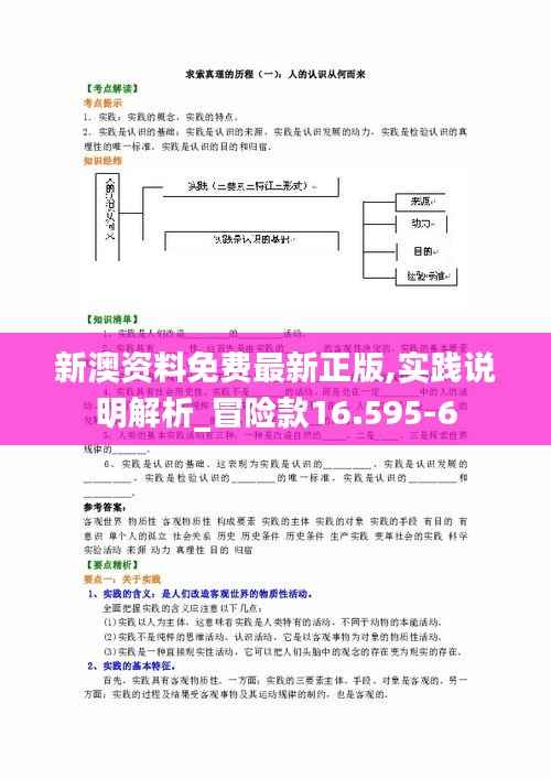 新澳资料免费最新正版,实践说明解析_冒险款16.595-6