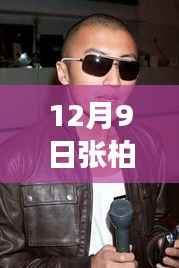张柏芝最新动态，学习之旅中的变化与自信之源