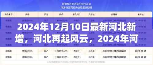 河北再起风云，揭秘2024年河北新增事件纪实