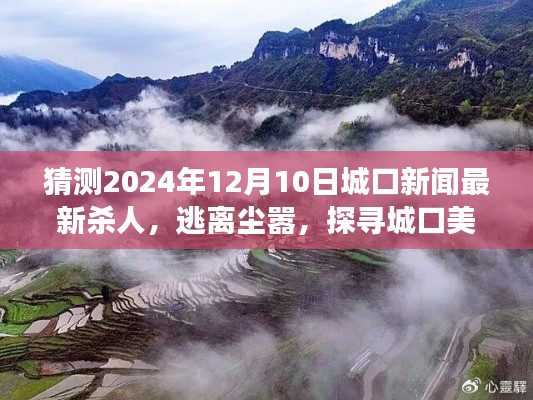 粗枝大叶 第2页
