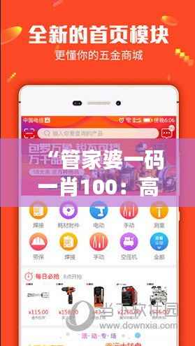 “管家婆一码一肖100：高效管理工具打造专属编码系统”