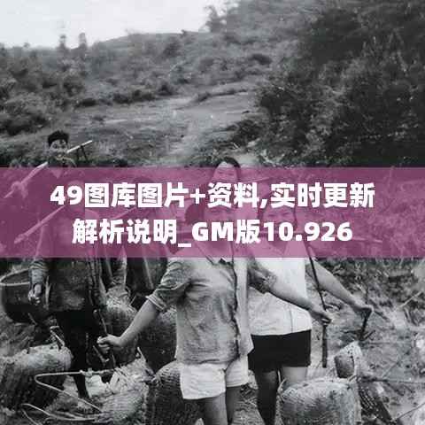 49图库图片+资料,实时更新解析说明_GM版10.926