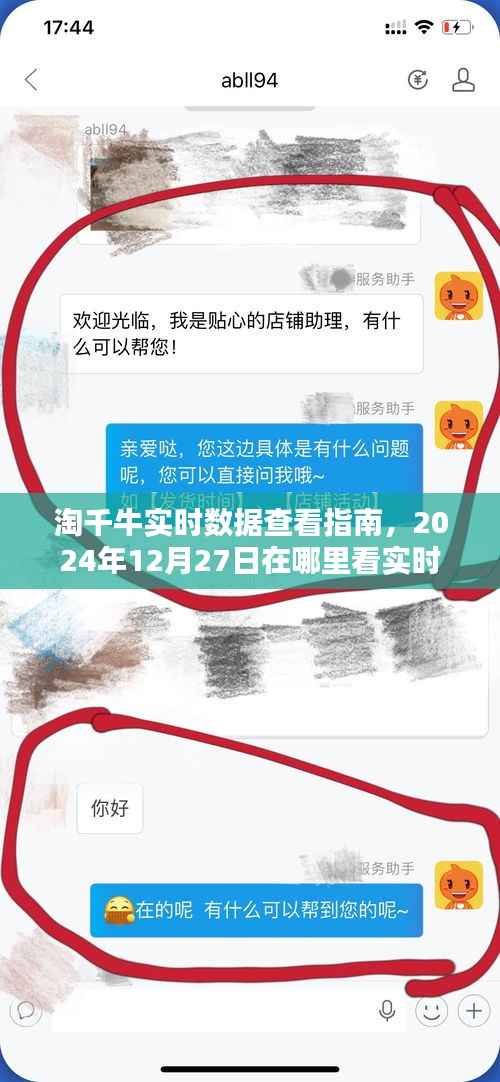 淘千牛实时数据查看攻略，如何查看实时数据（最新指南，日期，2024年12月27日）