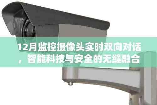 知错就改 第2页