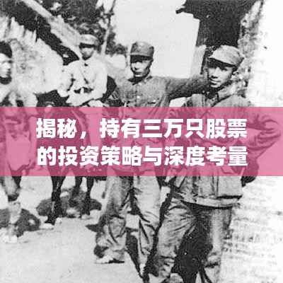 揭秘，持有三万只股票的投资策略与深度考量