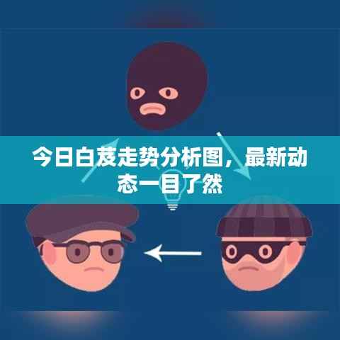 今日白芨走势分析图，最新动态一目了然