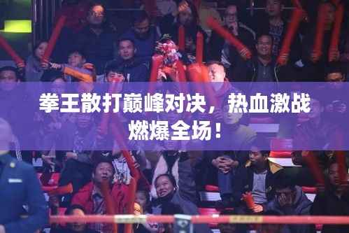 拳王散打巅峰对决，热血激战燃爆全场！