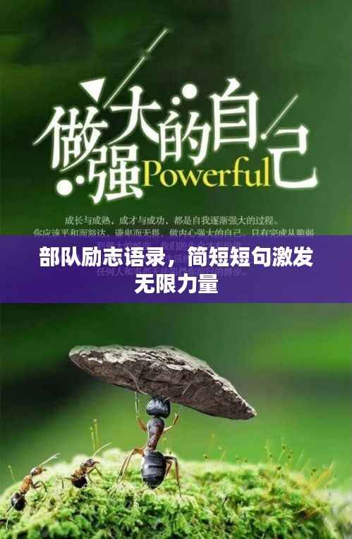 部队励志语录，简短短句激发无限力量