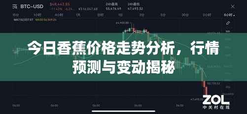 今日香蕉价格走势分析，行情预测与变动揭秘