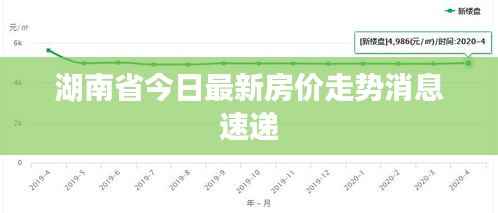 逆风飞扬