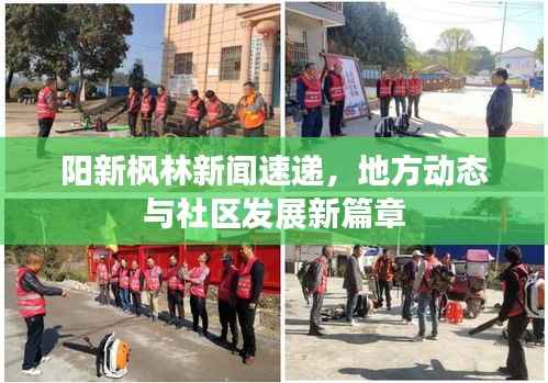 阳新枫林新闻速递，地方动态与社区发展新篇章