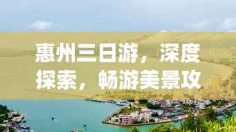 小鸟伊人