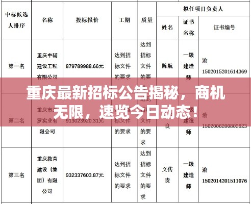 重庆最新招标公告揭秘，商机无限，速览今日动态！