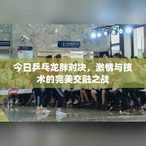 今日乒乓龙胖对决，激情与技术的完美交融之战