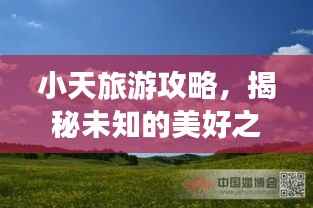 斫琱为朴