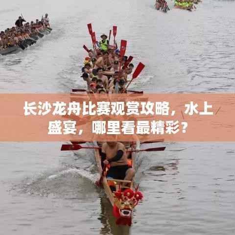 长沙龙舟比赛观赏攻略，水上盛宴，哪里看最精彩？